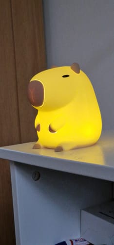 Customer photo review of MeWaii® Capybara Squishy Night Light - Perfect Gift 🎁