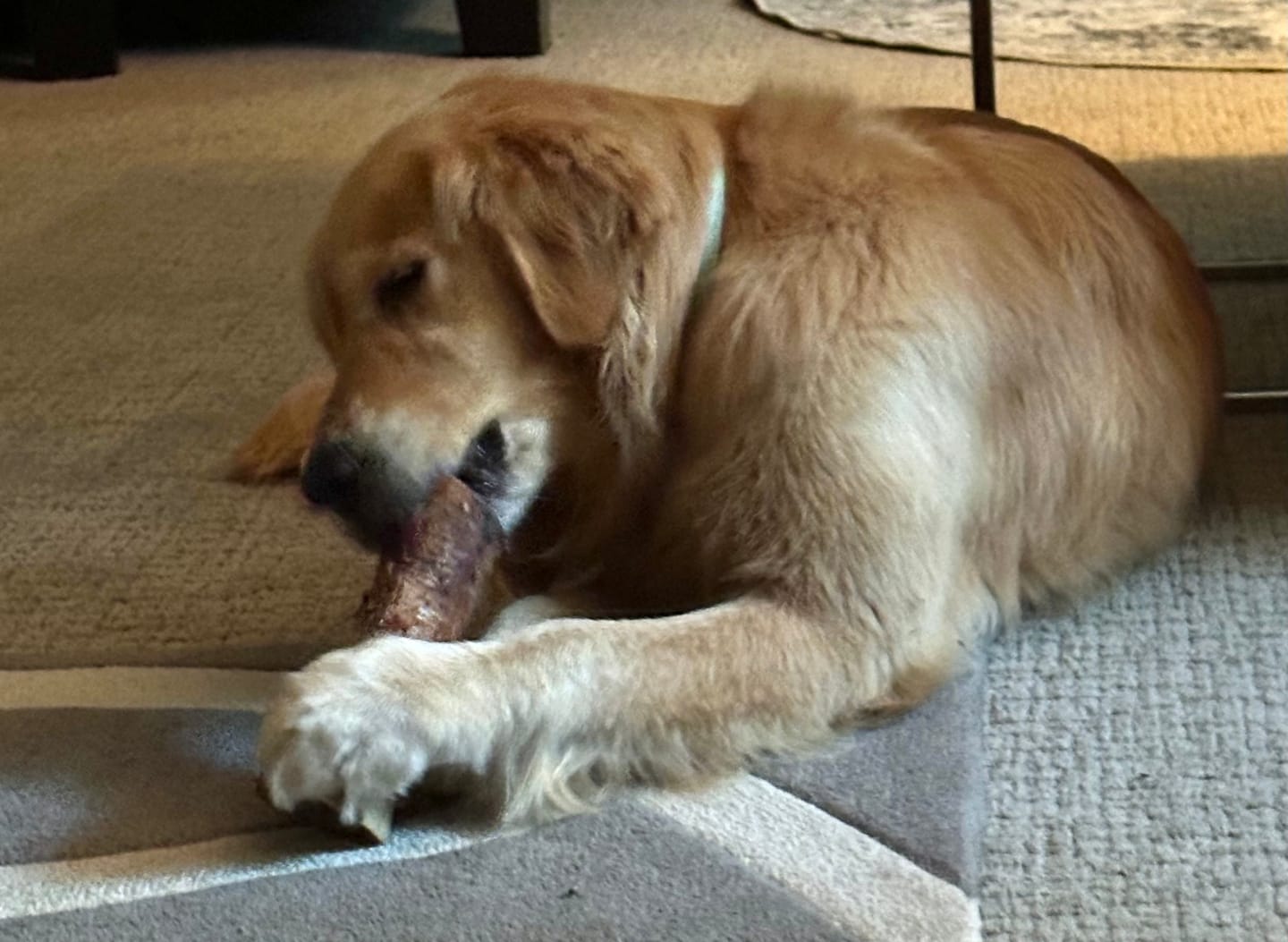 Customer photo review of Smoked Beef Marrow Bones