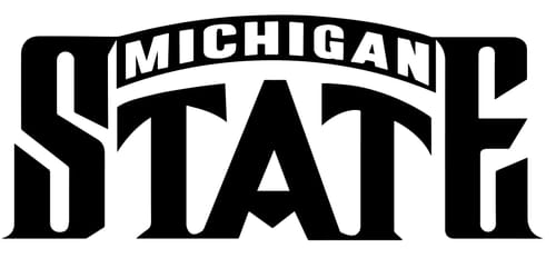 Customer photo review of Personalized Sneakers, Custom Sneakers, Put name or business name on it, AJ11-C05219