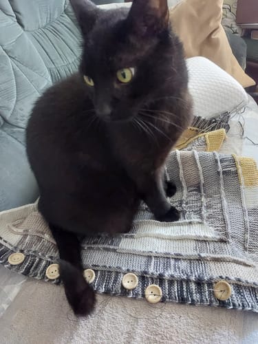 undefined review of Naturreines Katzenstreu image 1 out of 1