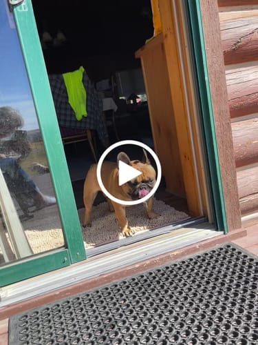 Customer video review of Paragon | Parasite Cleanse