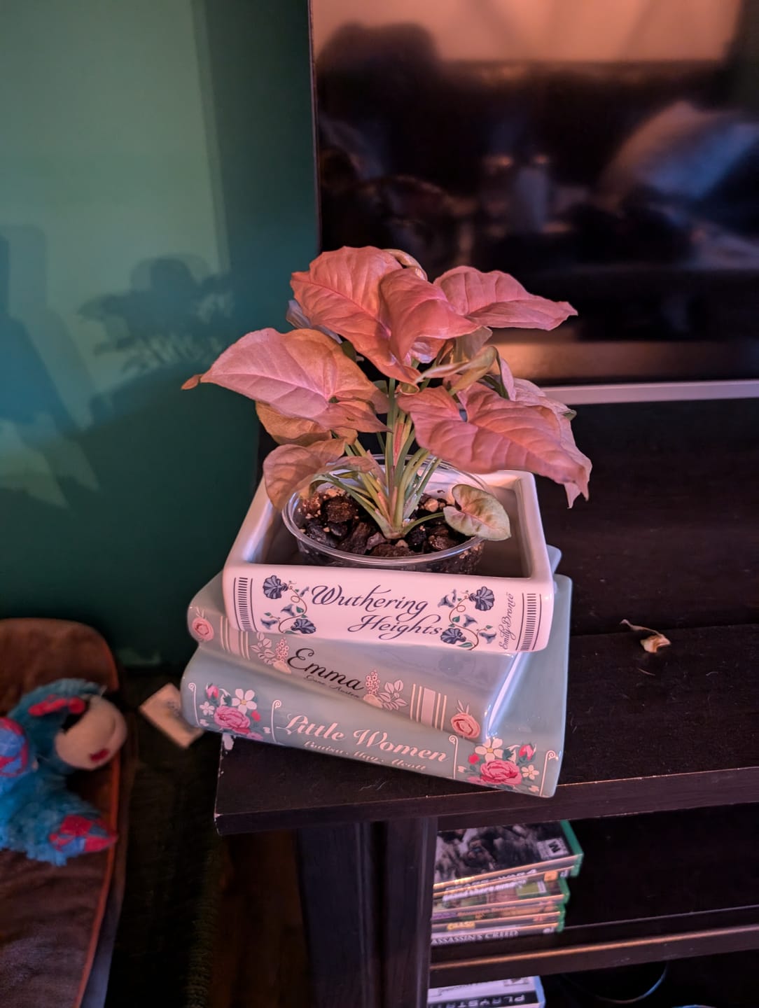 Customer photo review of Syngonium podophyllum 'Neon Robusta'