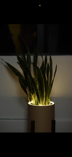 Customer photo review of Rectangle Table Blüme Light LED Planter