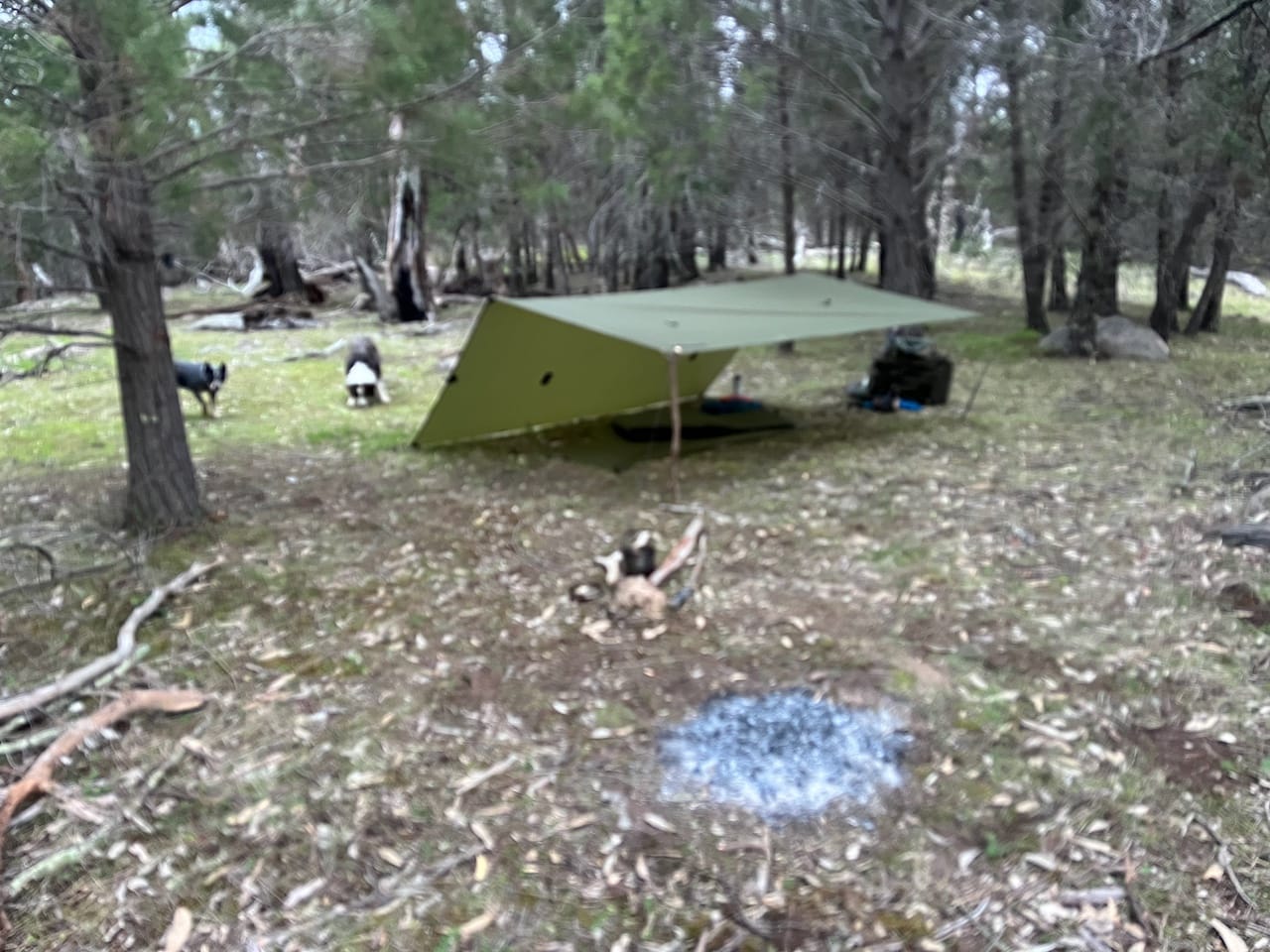 Customer photo review of Insulated Sleeping Mat (R4)