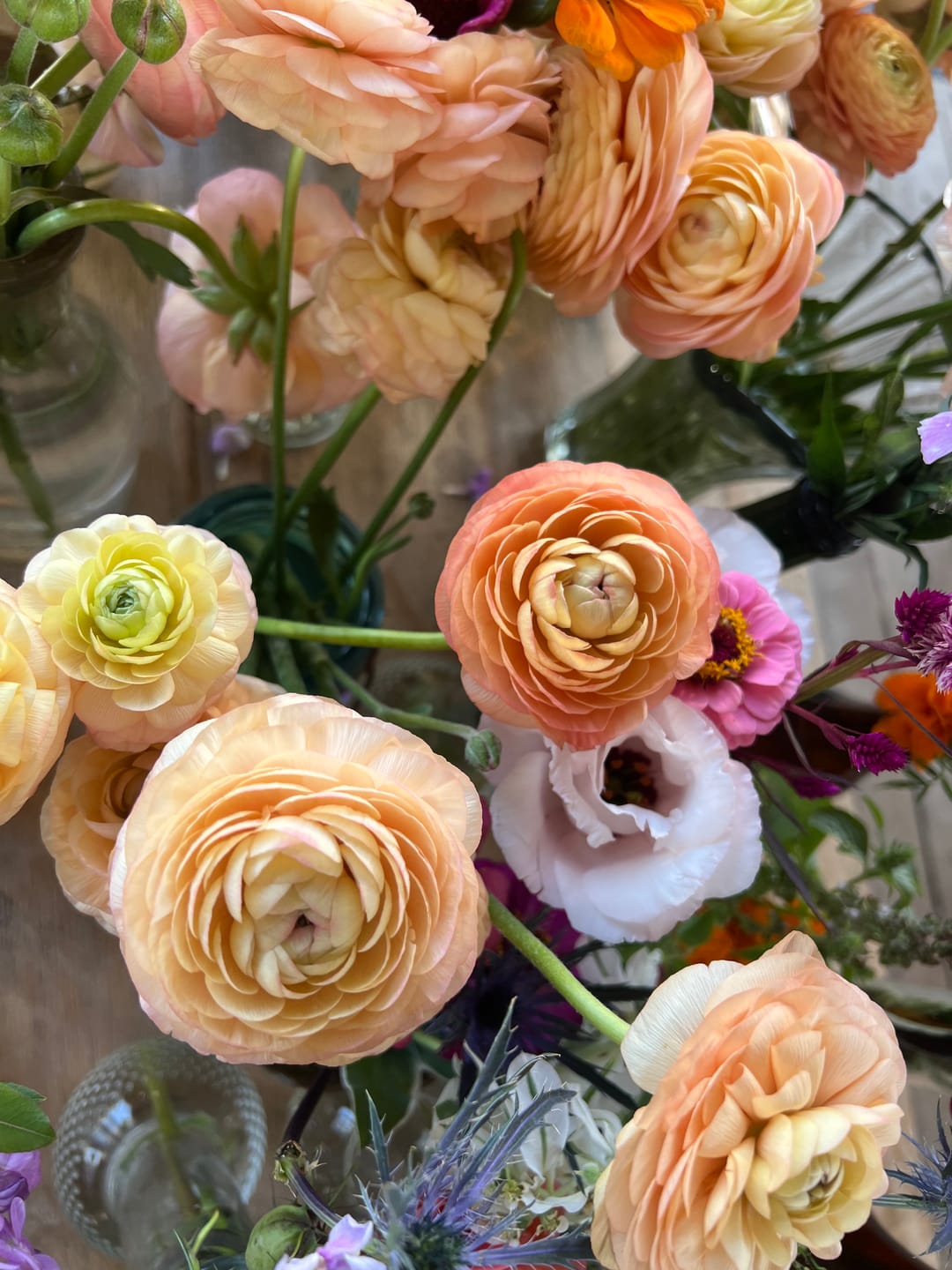 Customer photo review of Coral Peach Ranunculus
