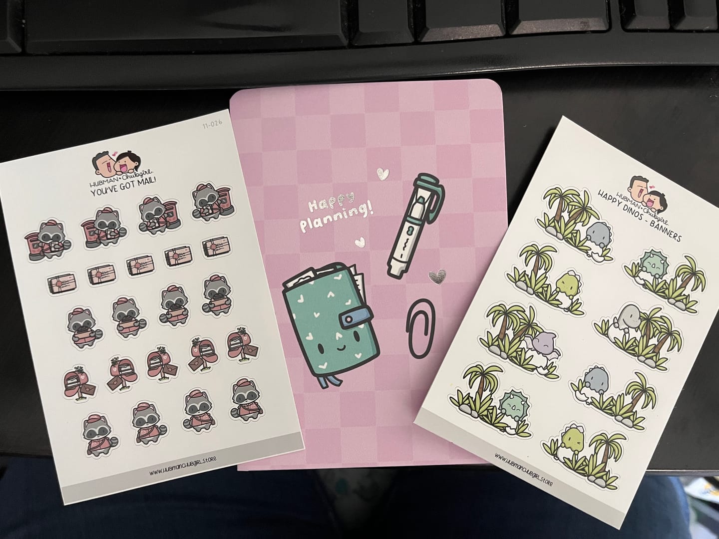 Customer photo review of Happy Dinos - Banners Planner Stickers