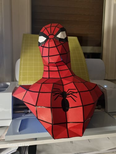 Customer photo review of Patrons Buste Spiderman