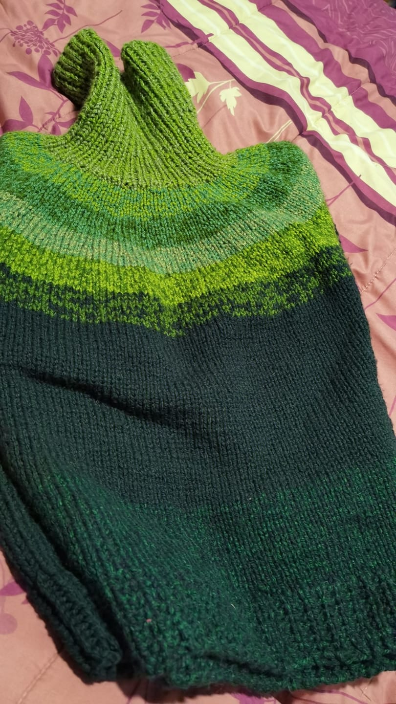 Customer photo review of Clase Sweater Arcoíris | Adulto
