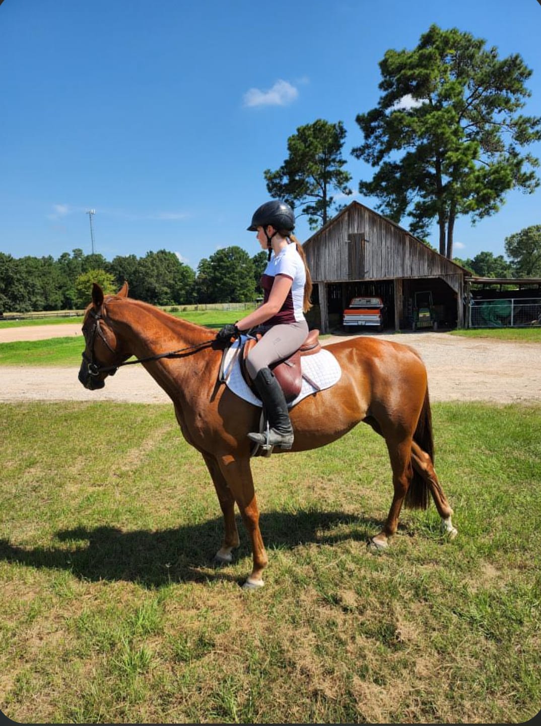Customer photo review of ULTRA BREATHABLE SHORT SLEEVE SHIRT