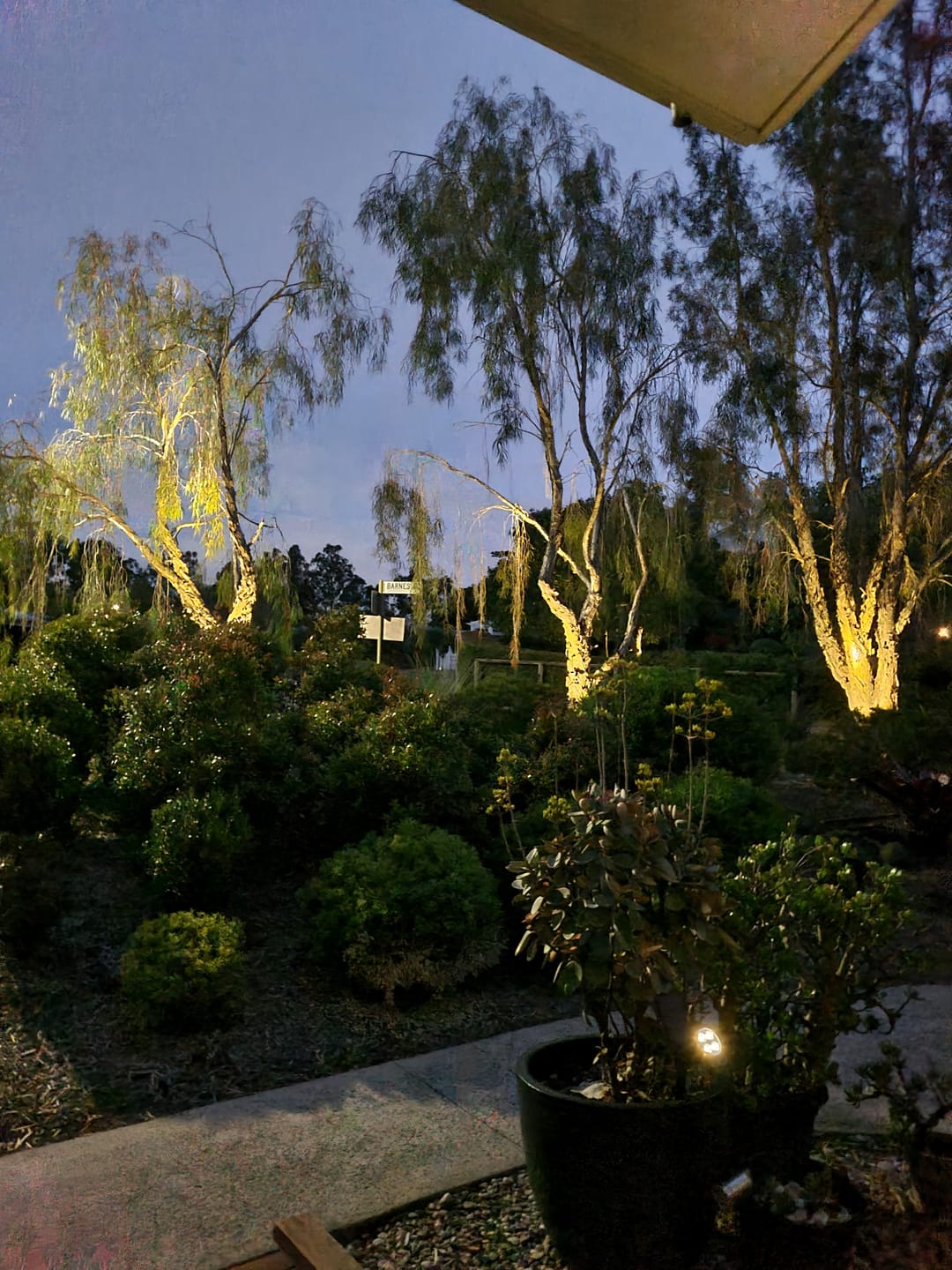 Customer photo review of Solar Ground Spotlights