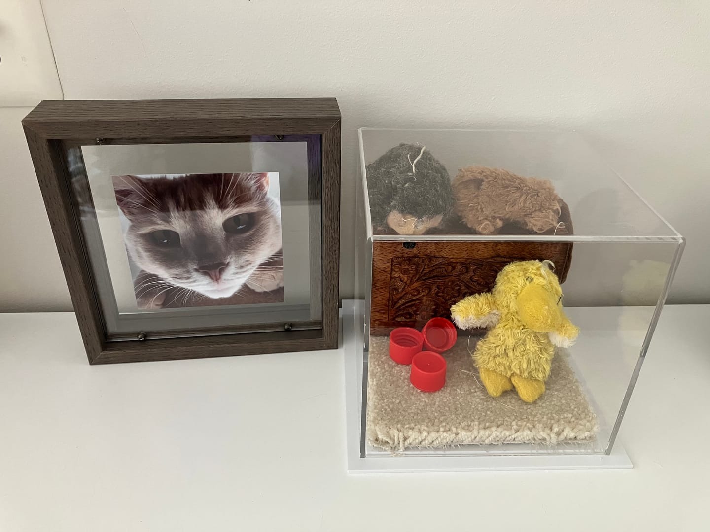 Customer photo review of Versatile Acrylic Display Cases with Double Sheet Base with Clear Case