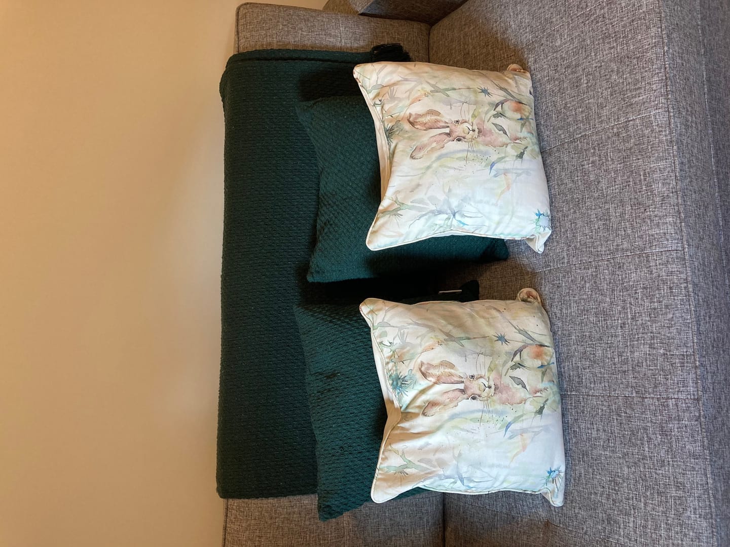 Customer photo review of Jack Rabbit Voyage Maison Cushion Cover