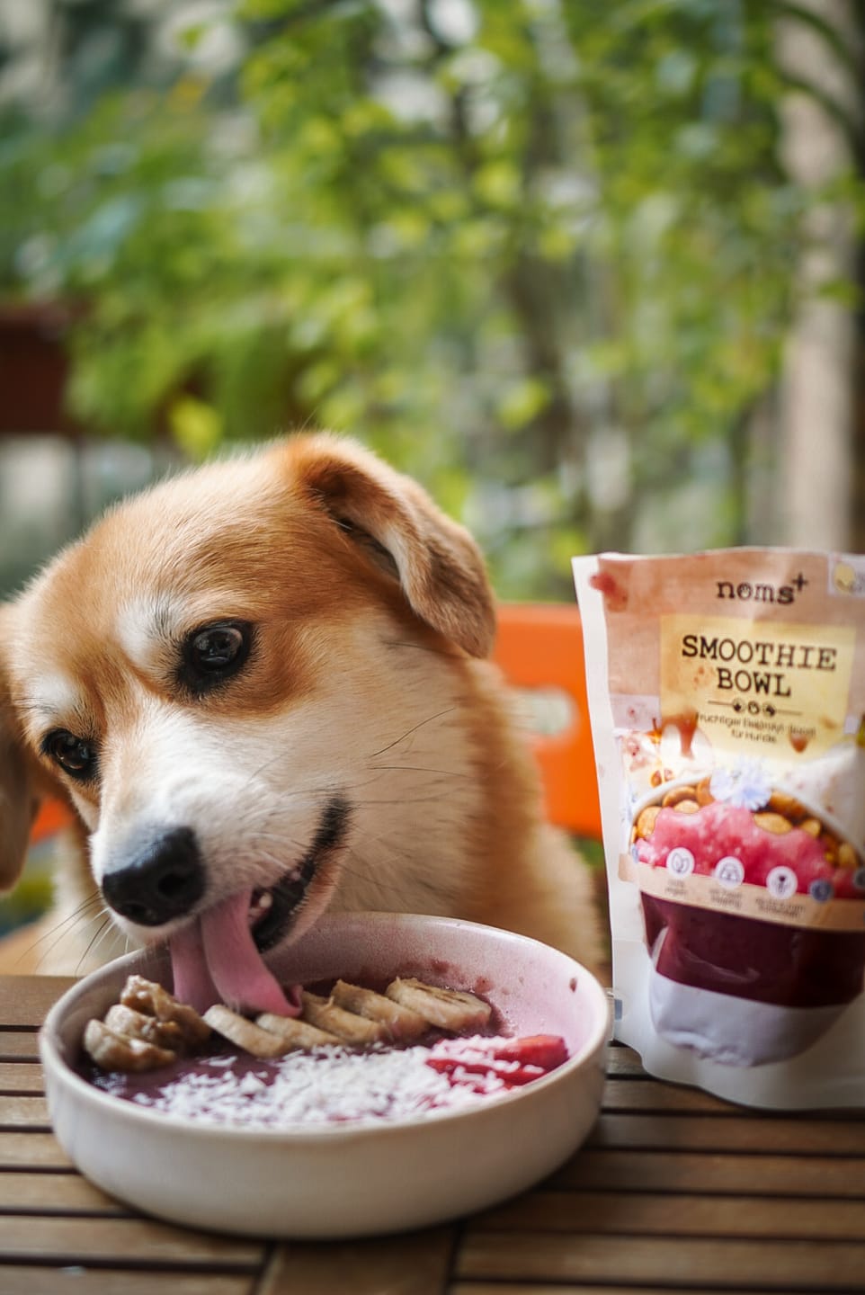 Customer photo review of Hunde Smoothie-Bowl: Der fruchtig frische Elektrolyt-Booster
