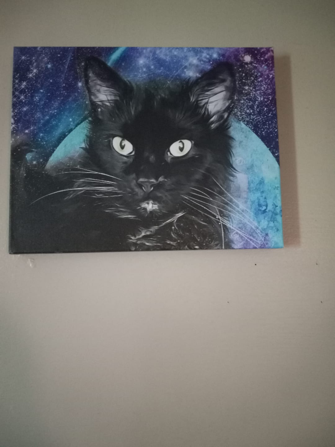 Customer photo review of Watercolor Pet Art - Pet Galaxy (PG)