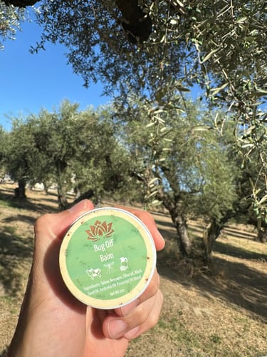 Customer photo review of Outdoor Bundle