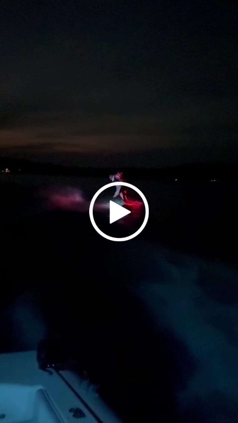 Customer video review of LED WAKEBOARD SYSTEM