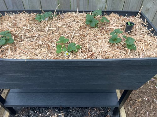 Customer photo review of Urban Bloomer - XL 110L