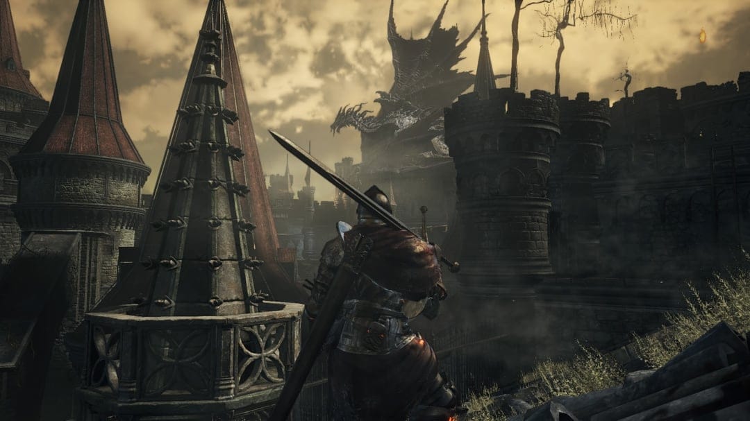 Customer photo review of Dark Souls 3 Items & Souls