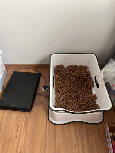 Customer photo review of Kit Extra de Pedras