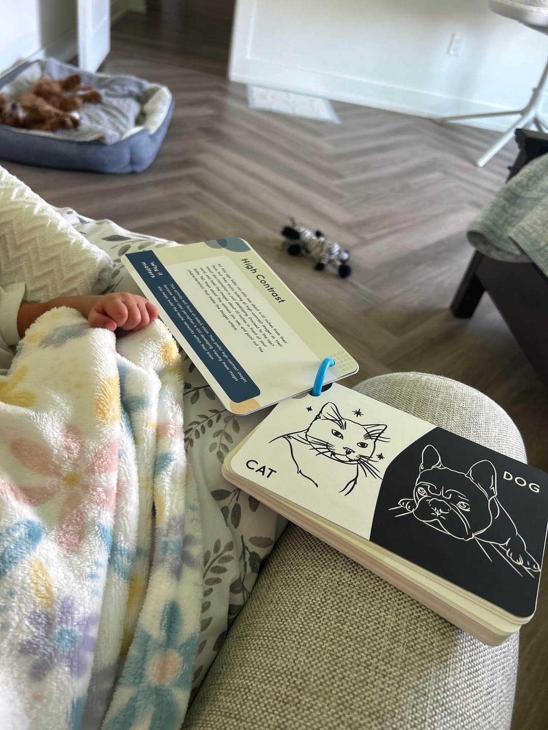 Customer photo review of Curious Baby™ Activity Cards