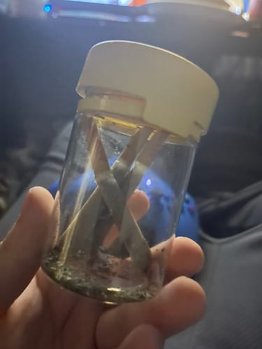 Customer photo review of THC-A pre-rolls Jar of 10 x 1g