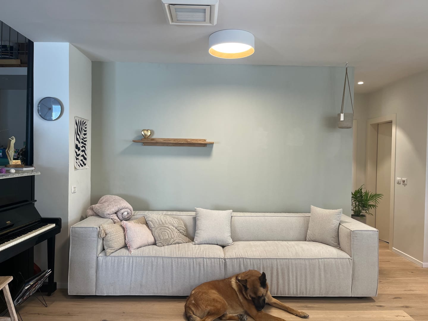 Customer photo review of מדף ALON
