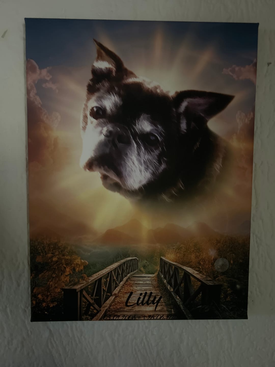 Customer photo review of Personalisiertes Portrait - Sonnen Stil