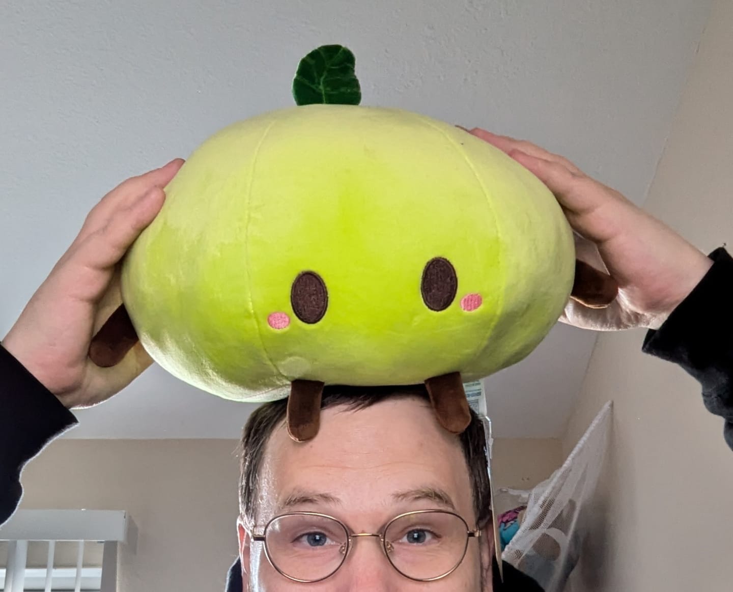 Customer photo review of Stardew Valley - Green Junimo Pillow Plush