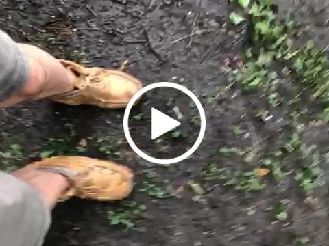 Customer video review of Men's Earthing Moccasin Boots Moose Hide Leather