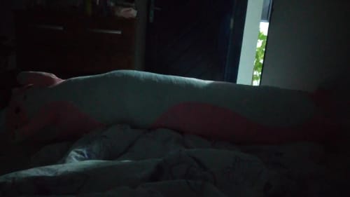 Customer photo review of Longcat Plushies