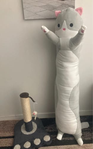 Customer photo review of Longcat Plushies