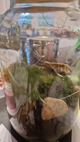 Customer photo review of Karline und der Flaschengarten - Kinderbuch und Flaschengarten