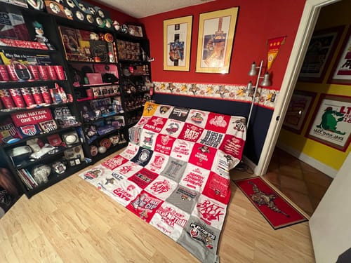 T-shirt quilt featuring raptors by Carol Lynn from FL