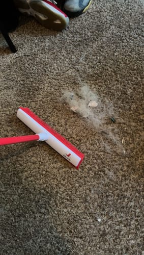 Customer photo review of Indigo Pro V2 Pet Hair Survival Kit