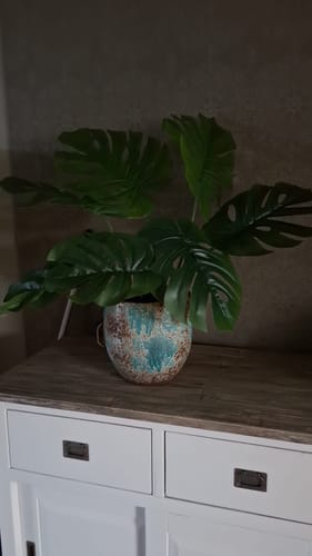 Customer photo review of Monstera Kunstplant A 80cm