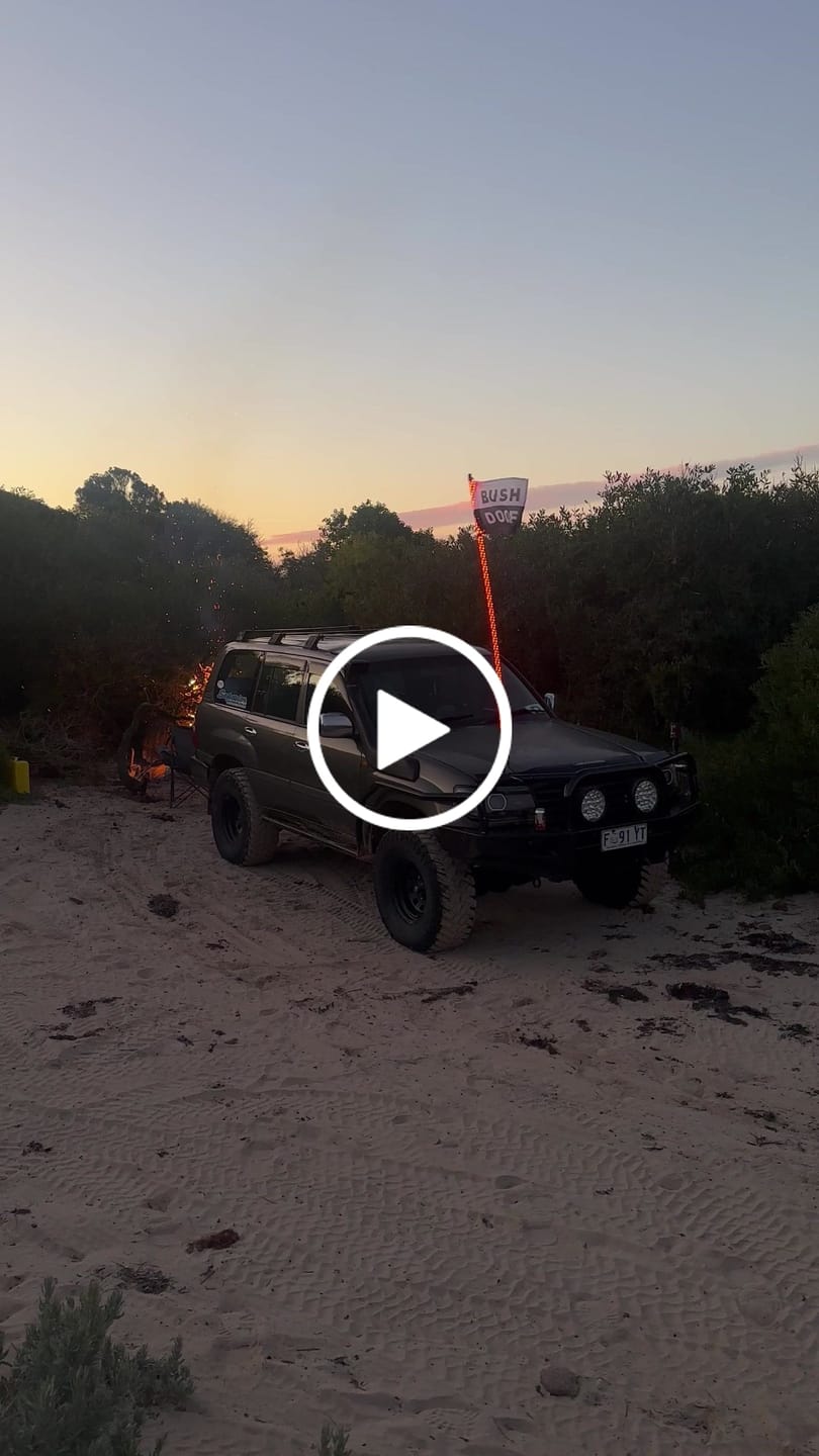 Customer video review of 6ft LED Whip Lights