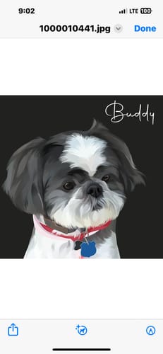 Customer photo review of Pet Art Canvas Wrap