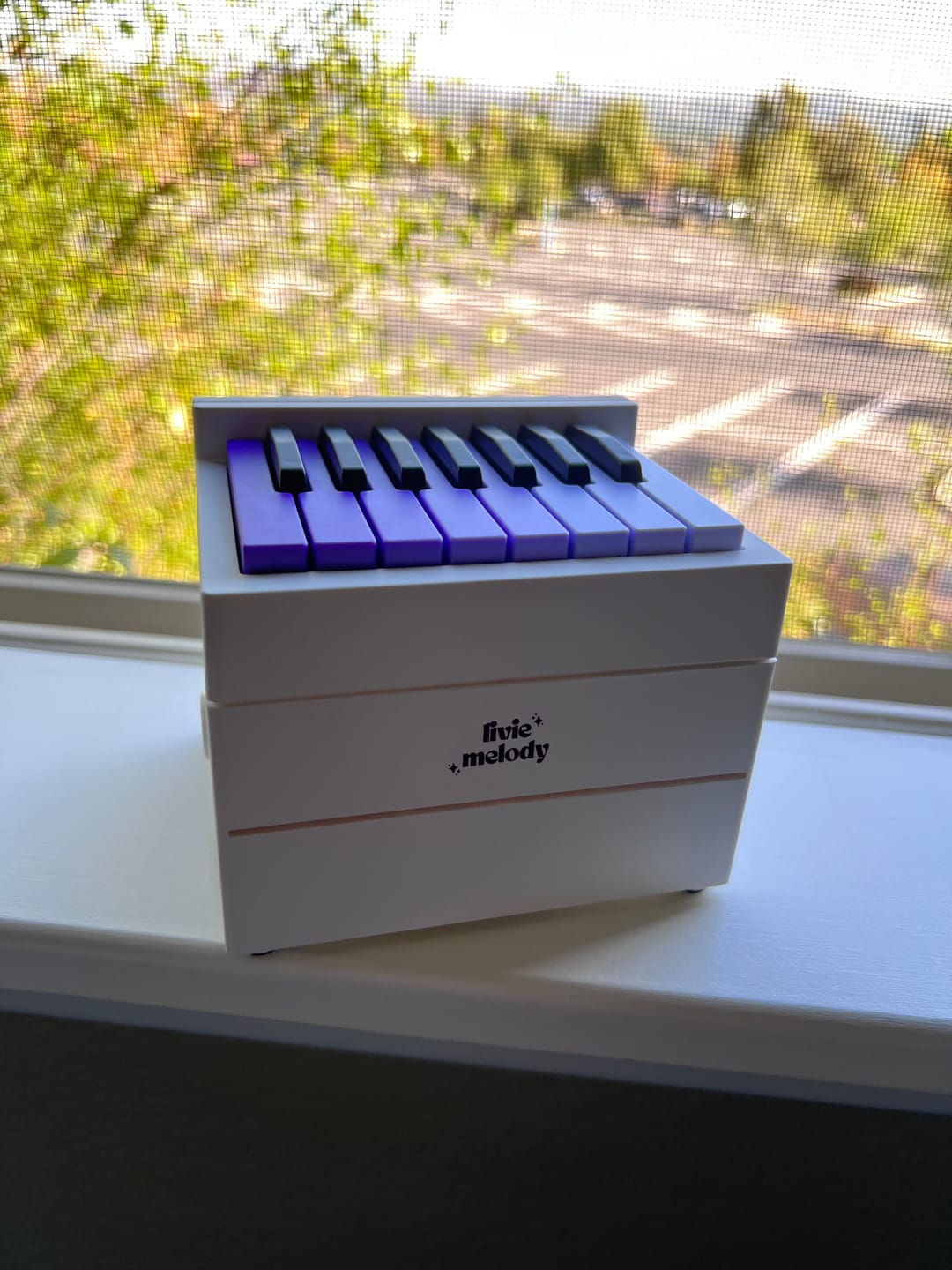 Customer photo review of [Pre-Order] LivieMelody Piano Calendar 2024