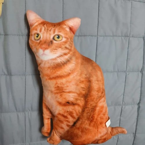Customer photo review of 3D Cat Cushions