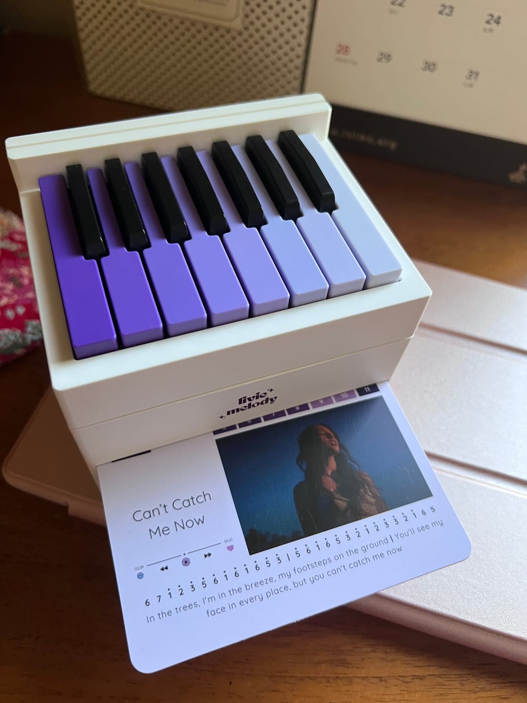 Customer photo review of [Pre-Order] LivieMelody Piano Calendar 2024
