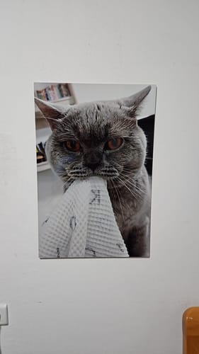 Customer photo review of יצירת פוסטר מתמונה