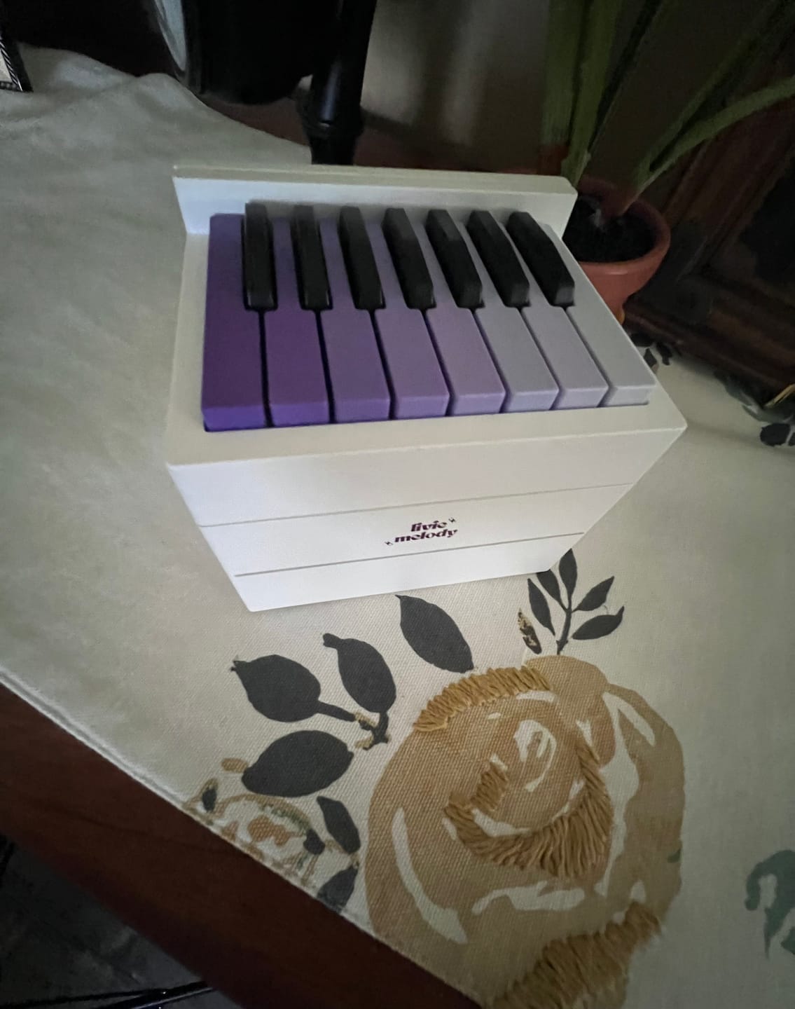 Customer photo review of [Pre-Order] LivieMelody Piano Calendar 2024
