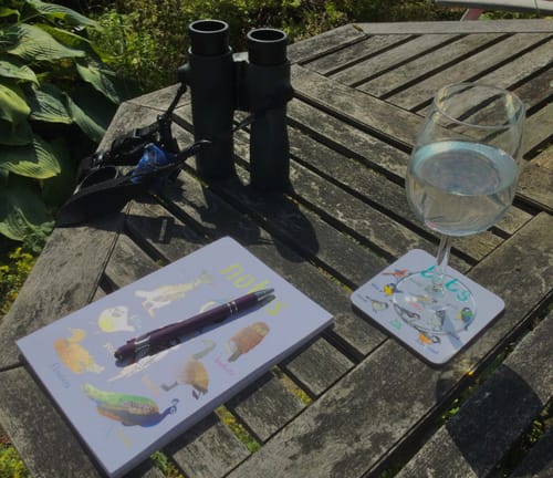 Customer photo review of Set of 6 Bird Pun Coasters