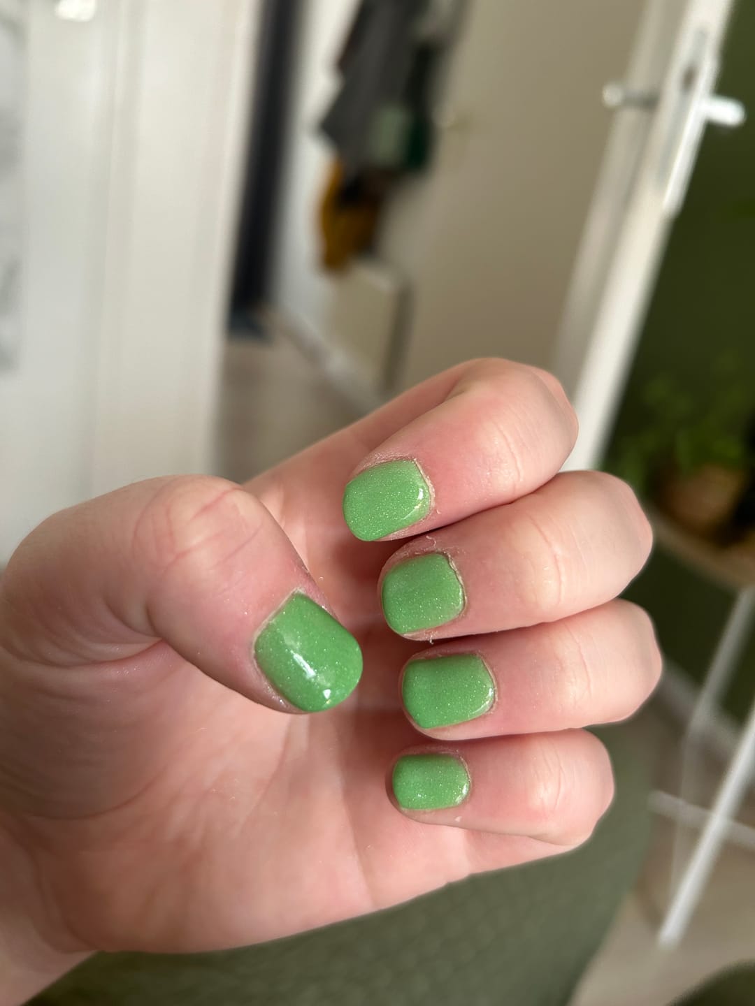 Customer photo review of Primer