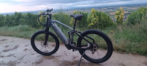 Customer photo review of CMACEWHEEL AL26 250W 26" SUV E-Mountain Bike with Torque Sensor 48V 17Ah Battery