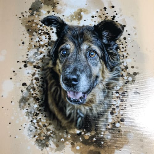 Customer photo review of Personalized Pet Art - Canvas