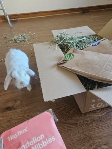 Customer photo review of Taster Pack