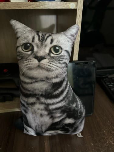 Customer photo review of 3D Cat Cushions