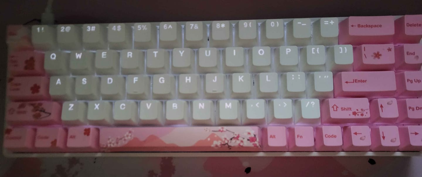 Customer photo review of DrunkDeer G65 Wired Actuation Distance Adjustable Magnetic Switch Gaming Keyboard