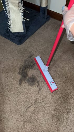 Customer photo review of Indigo Pro V2 Pet Hair Survival Kit